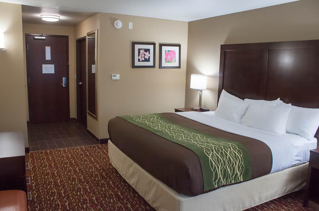 Comfort Inn & Suites Artesia Pokój zdjęcie