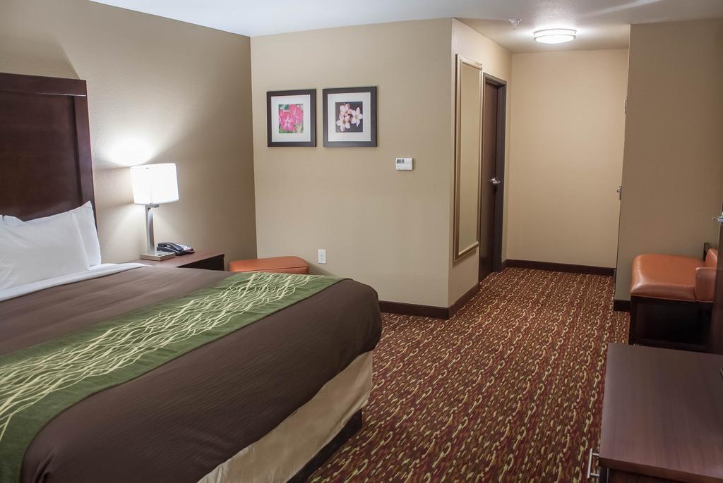 Comfort Inn & Suites Artesia Pokój zdjęcie