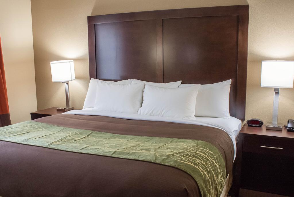 Comfort Inn & Suites Artesia Pokój zdjęcie