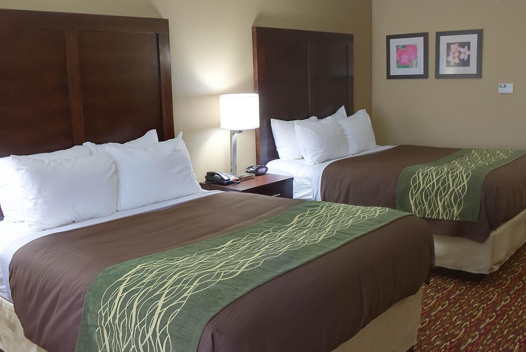 Comfort Inn & Suites Artesia Pokój zdjęcie