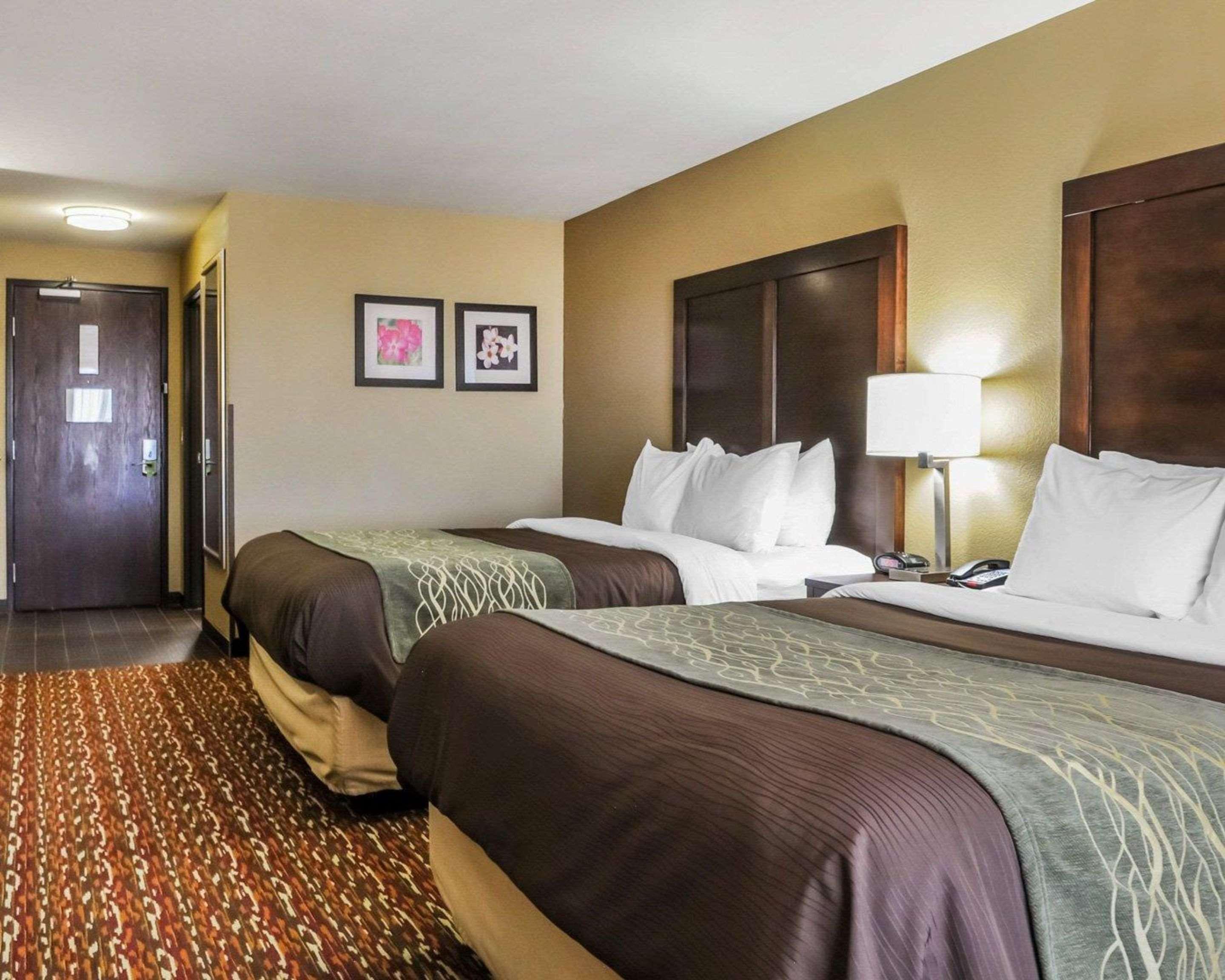 Comfort Inn & Suites Artesia Zewnętrze zdjęcie