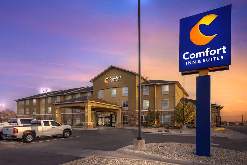 Comfort Inn & Suites Artesia Zewnętrze zdjęcie